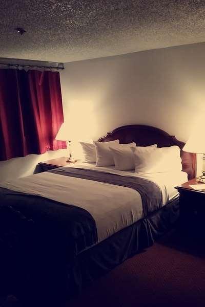 Beluga Lake Lodge Homer Kamer foto