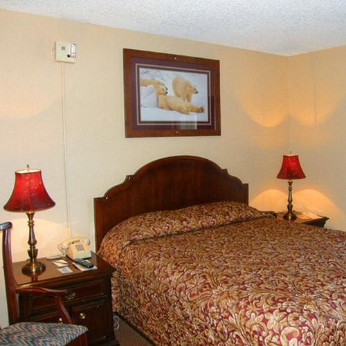 Beluga Lake Lodge Homer Kamer foto